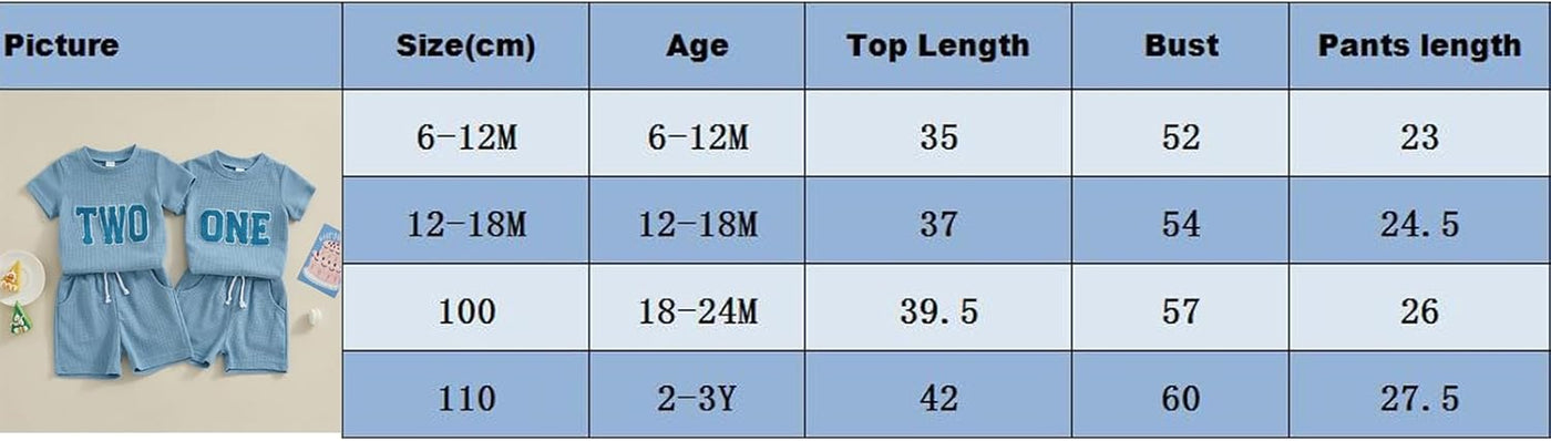 Toddler Baby Boy Girl First 1St Birthday Outfit T Shirt Shorts Infant Summer Waffle Clothes